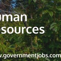 Human Resources Banner