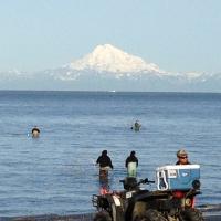 Dipnet season, Mt. Redoubt