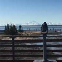 Bird Viewing Platform