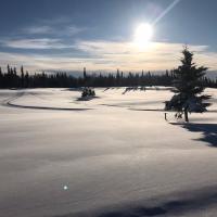 Kenai Nordic Ski Trails