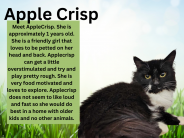 Apple Crisp, available cat