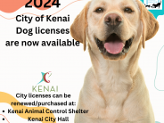 2024 City of Kenai Dog Licenses are now available