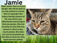 Jamie, available cat