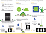 Burn Rules Image