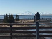 Bird Viewing Platform