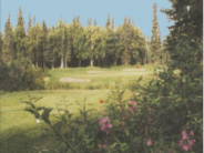 Kenai Golf Course