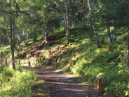 Poetry Trail, Kenai Municipal Park