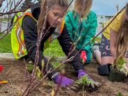 Kenai Planting Days pic 2024 1 