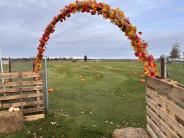 Kenai Pumpkin Festival