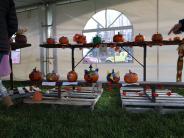 Kenai Pumpkin Festival