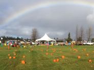 Kenai Pumpkin Festival