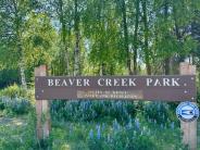 Beaver Creek Sign Lupine Summer