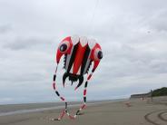 Kenai Kite Festival PC: Steven Meyers