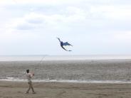 Kenai Kite Festival PC: Steven Meyers