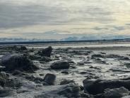 Kenai North Beach winter