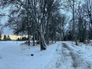 Municipal Walking Trail 12.12.23