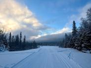 Ski Trails 12.20.23