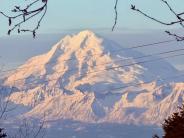 Municipal Walking Trail December 29 2025