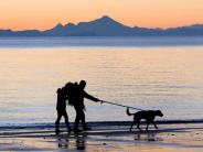 Kenai Beach