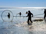 Dipnetting