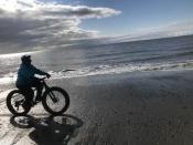Fat Biking Kenai North Beach