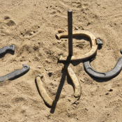 Horseshoes