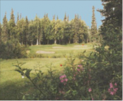 Kenai Golf Course