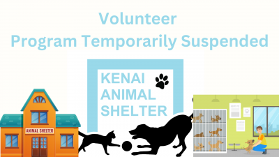 Volunteer Program Kenai Animal Shelter