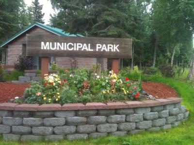Kenai Municipal Park Flowers