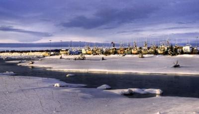 Boats at Kenai Harbor