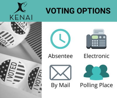 Graphic with icons showing voting method options