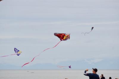 Kites