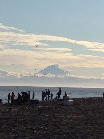 North Beach.Kenai.July