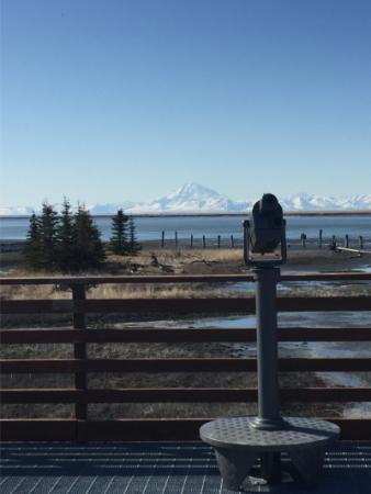 Bird Viewing Platform