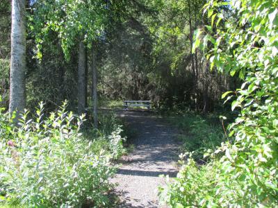 Elson Rest Stop