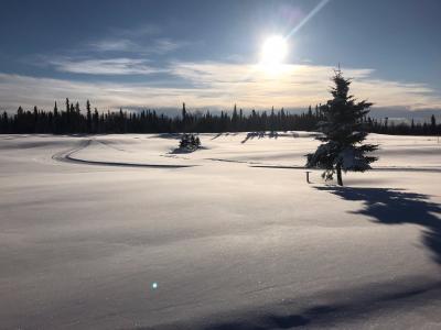 Kenai Nordic Ski Trails