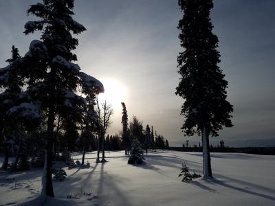 Kenai Golf Course Ski Trail