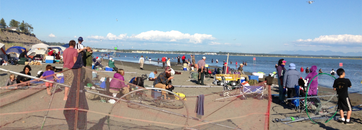 Kenai Beach Camping