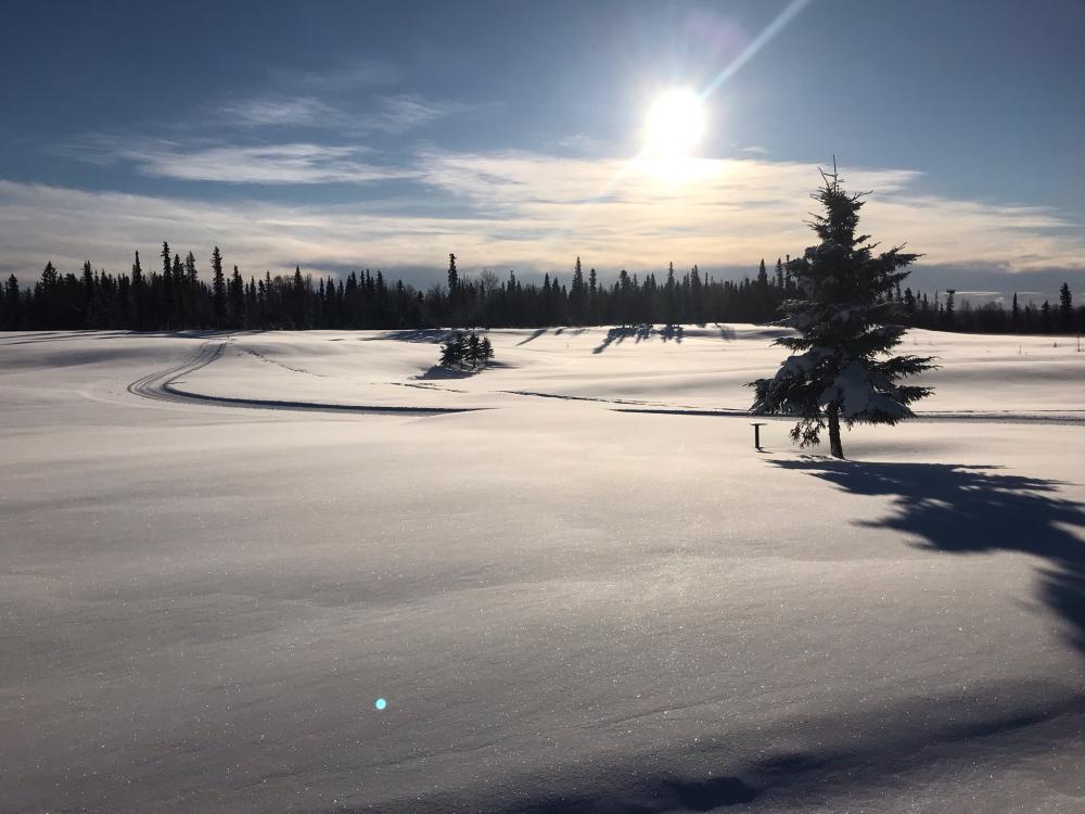 Nordic Ski Trails Kenai Alaska